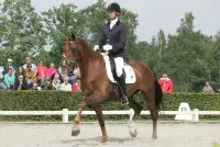 Van Bedaf en Maertens presteren in Inter en ZZ-Zwaar featured image