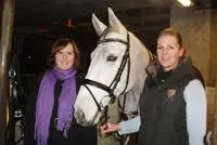 ‘Intensieve inzet jonge paarden veroorzaakt overbelasting’ featured image