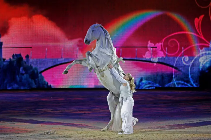 Equitana trekt 208.000 bezoekers featured image