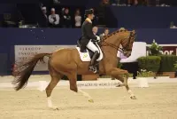Volg Indoor Brabant live via internet featured image