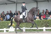 Stephanie Kooyman met Winston