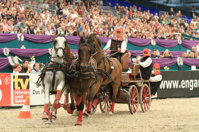 Zwitser Werner Ulrich stopt met vierspansport featured image