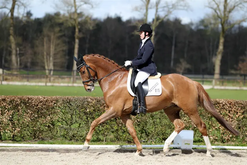 Stephanie de Frel grootverdiener subtop Uden featured image