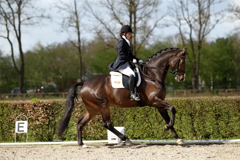 Prix St. Georges voor Sidsel Johansen featured image