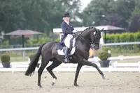 Subtop: Van Kemenade en Royal Dancer zegevieren in Grand Prix featured image
