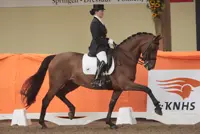 Thamar Zweistra met Zodinde Thamar Zweistra Zodinde
