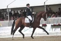 Getouwtrek om Lissaro van de Helle featured image