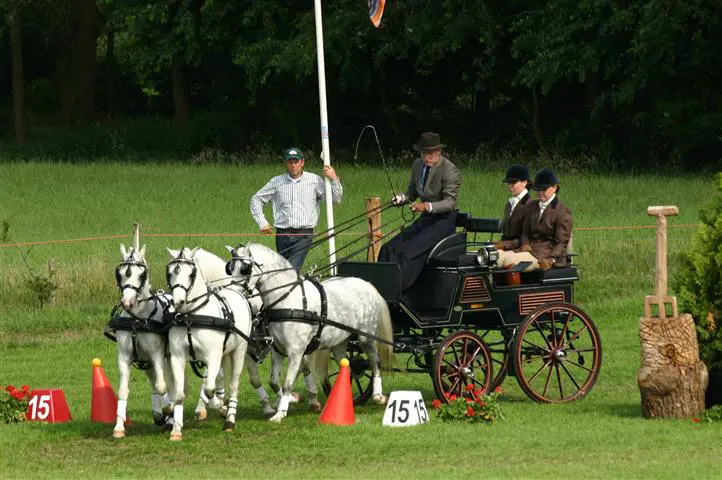 Serie ‘Met Bram naar Breda’ Aflevering 10: Vaardigheid *Video* featured image