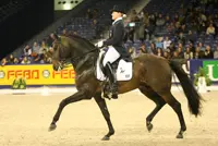 Olympisch dressuurpaard omgekomen bij trailerongeval featured image