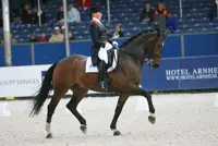 Vivaldi en Krawall niet naar NK featured image