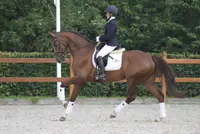 Pavo Cup: Citho zet stijgende lijn voort featured image