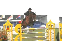 CSI Twente: Tepper en Poels op podium featured image