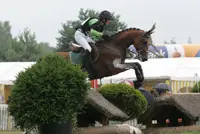 Luhmühlen: twaalfde plaats voor Lips featured image