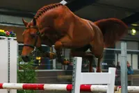 Voorbereiding featured image