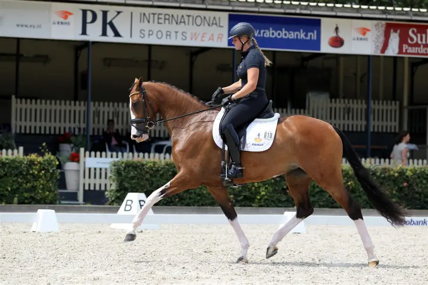 Texelse successen op Texel featured image