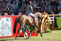 Shutterfly uitgezwaaid featured image