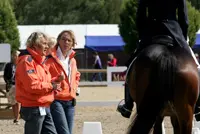 Pony EK later van start door vertraging voorbereidingen featured image