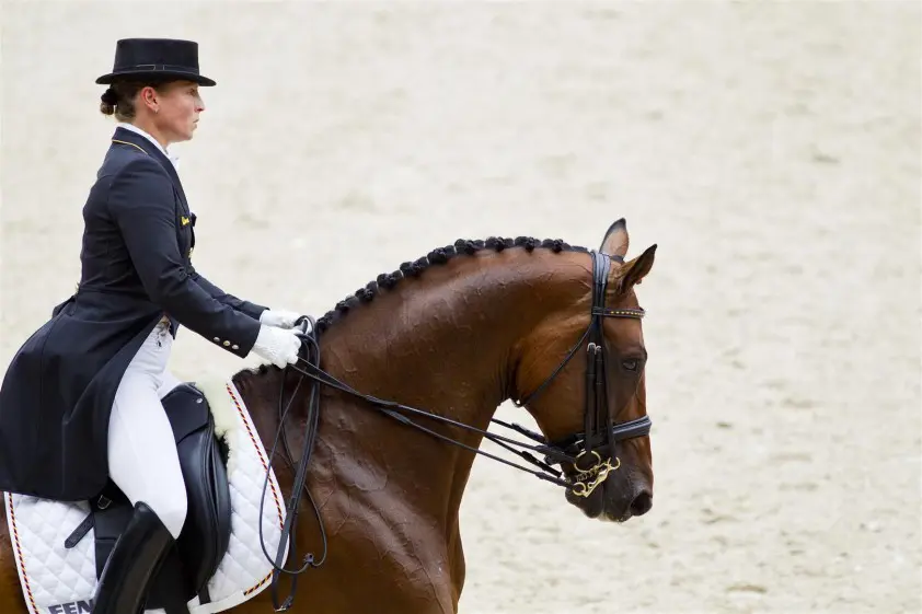 Sönke Lauterbach mag weer uitspraken doen over Isabell Werth featured image