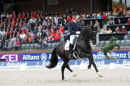 Keuringscommissie erkent Uthopia voor KWPN-fokkerij featured image