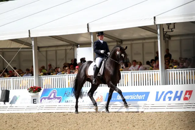 Hannoveraanse jonge paarden geselecteerd voor Warendorf featured image