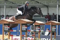 Don Kortrink vierde in talentenproef 1,45m featured image