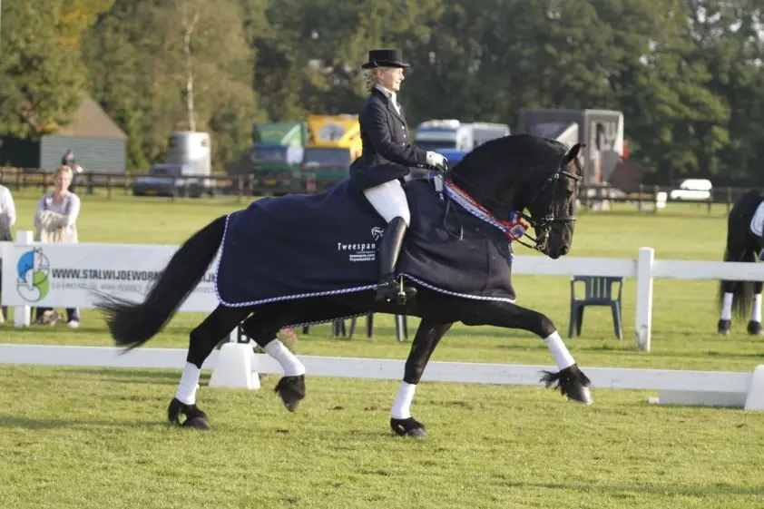 Schreuder: ‘Friezen krijgen eerst tuigopleiding’ featured image