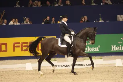Grand Prix-paard Sterntaler met pensioen featured image