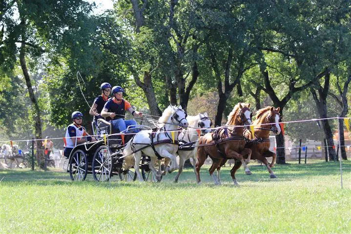 Jan de Boer wint WB Pilot featured image