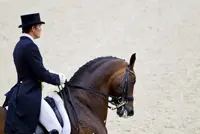 Sune Hansen weg bij Blue Hors featured image
