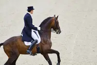 Blue Hors Romanov naar Edward Gal featured image