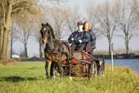 Nijkerk: Arjo van Kekem grootste snelheidsduivel featured image