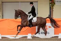 Subtop: Winningmood geeft Van Silfhout een goed gevoel featured image