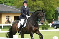 Verloren telefoon kost Van Silfhout een les featured image