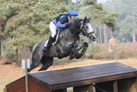 Stijlbeoordeling eventing ondergewaardeerd featured image