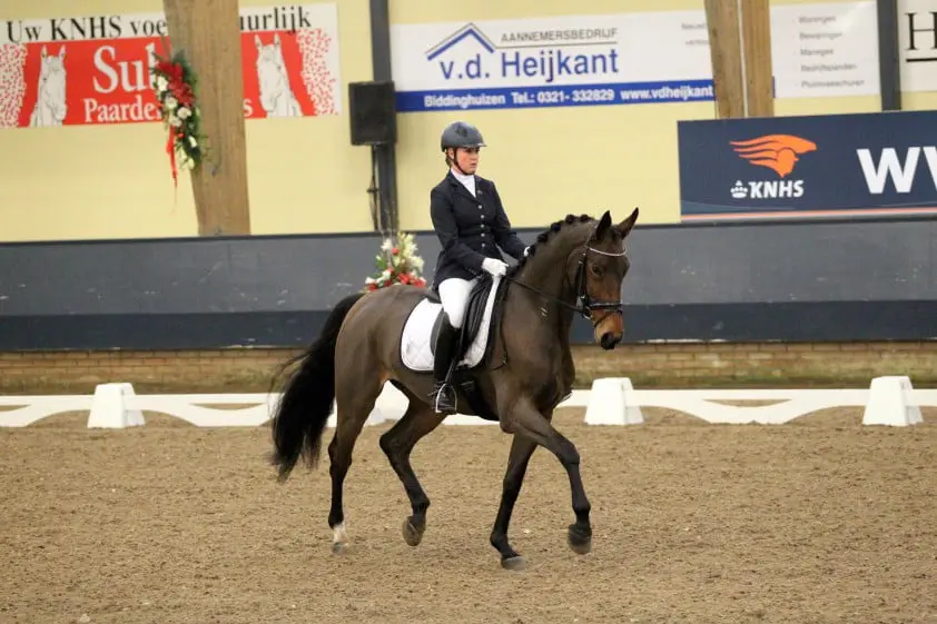Bellarosa v. Bellissimo M, Robin Beekink