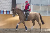 69-jarige Hugo Simon wil nog steeds de beste kunnen zijn featured image