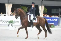 Over de grens featured image