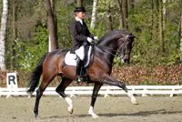 Nederlands tintje aan finale dressuur Asian Games featured image