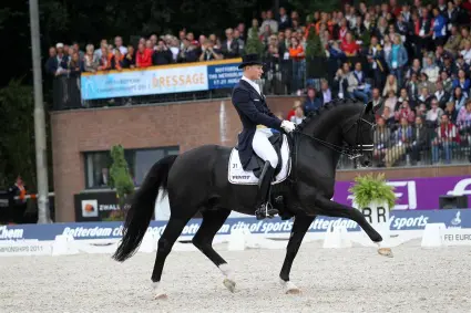 Werner: ‘Geen sprake van aankoop Totilas’ featured image
