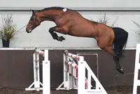 AES-France scheutig met deklicenties featured image