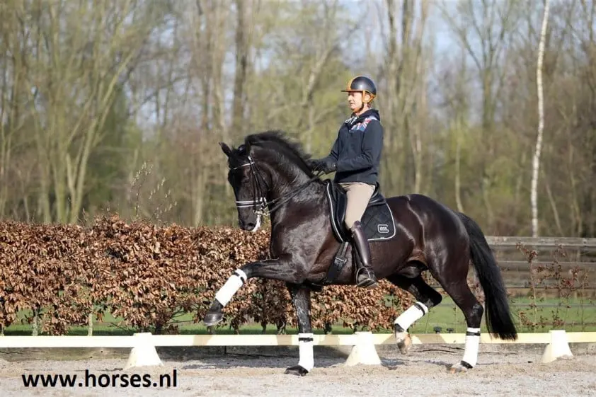 Edward Gal met Undercover