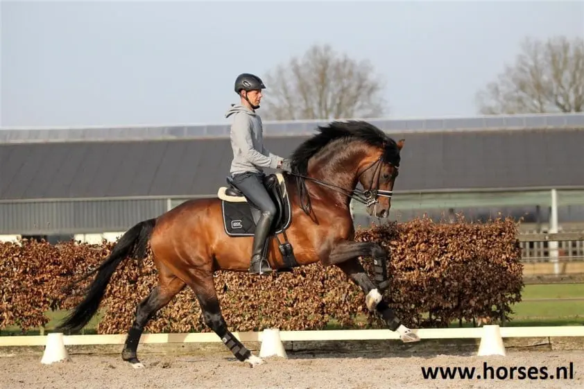 Johnson-dochter Discovery aan kop featured image
