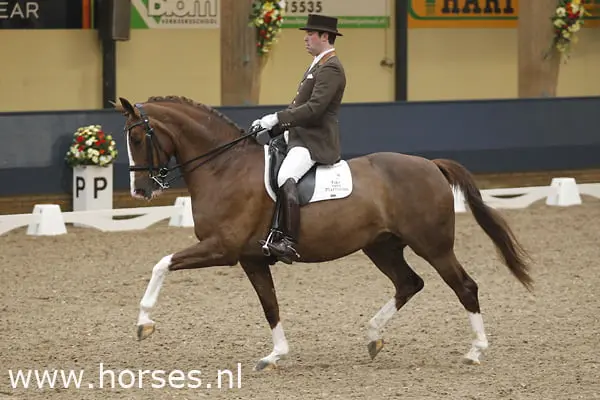 Winnend debuut voor Mara de Vries en Santiago featured image