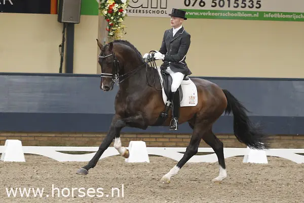 Dinja van Liere nieuwe amazone Zhivago featured image