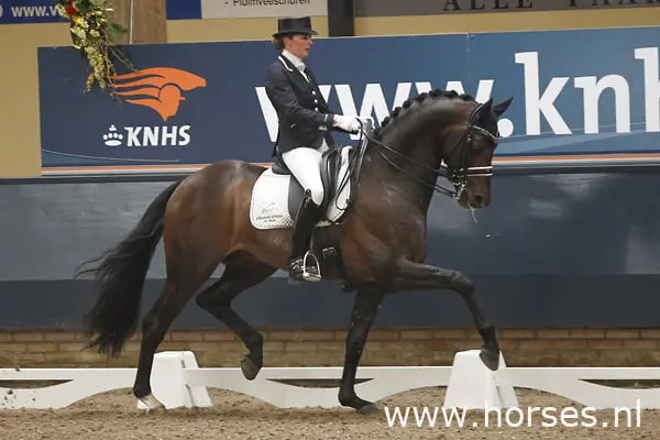 Vincourt en Scholtens verdelen eerste prijzen featured image