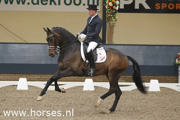 Raateland verkoopt Zorro naar Duitsland featured image