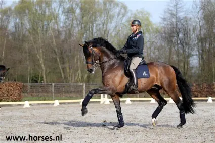 Glock investeert in Romanov featured image