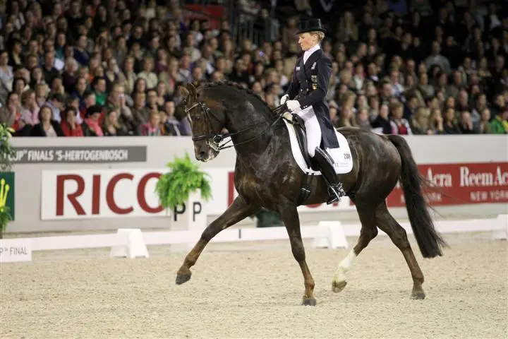Duitse Olympische dressuurploeg bekend featured image