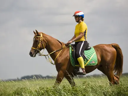 Somber einde voor Nederland op WK endurance featured image