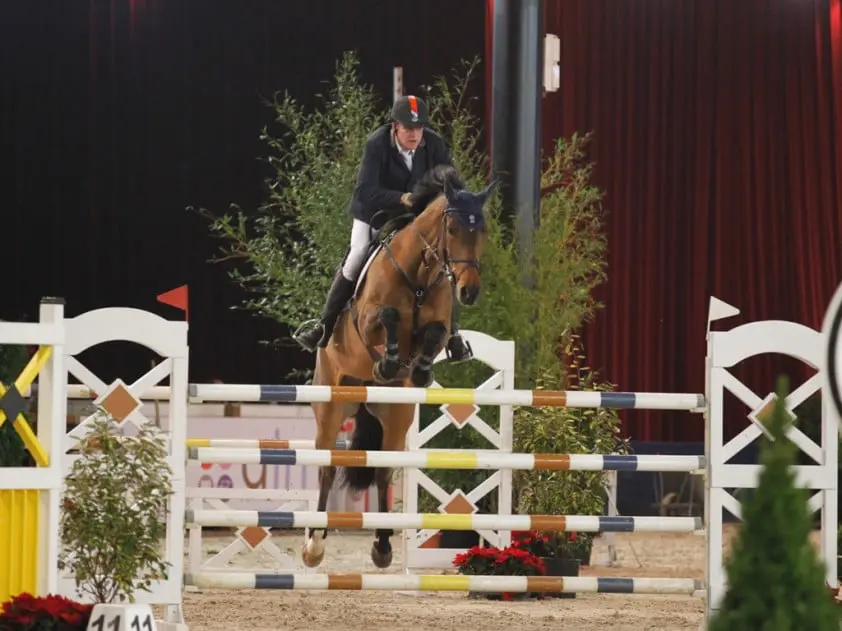 Mooie resultaten ex-paarden Albert Zoer in Wellington featured image